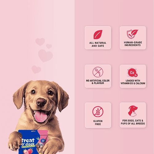 Natural Remedies Treat O'Clock Strawberry, Fresh Me Up Shampoo & Orthoron Joint Support Tablets Dog Combo
