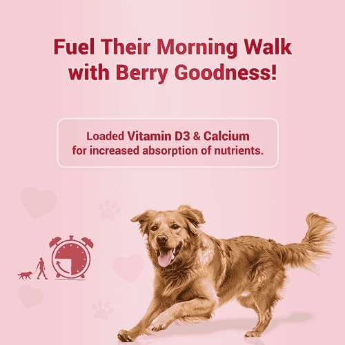 Natural Remedies Treat O'Clock Strawberry, Fresh Me Up Shampoo & Orthoron Joint Support Tablets Dog Combo