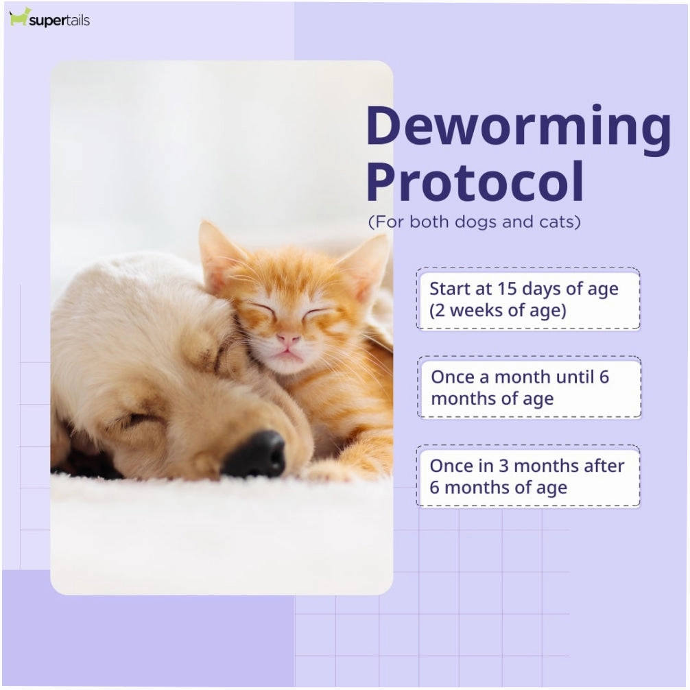 Neo Kumfurt Wormeez Deworming Tabet for Dogs (pack of 10 tablets)