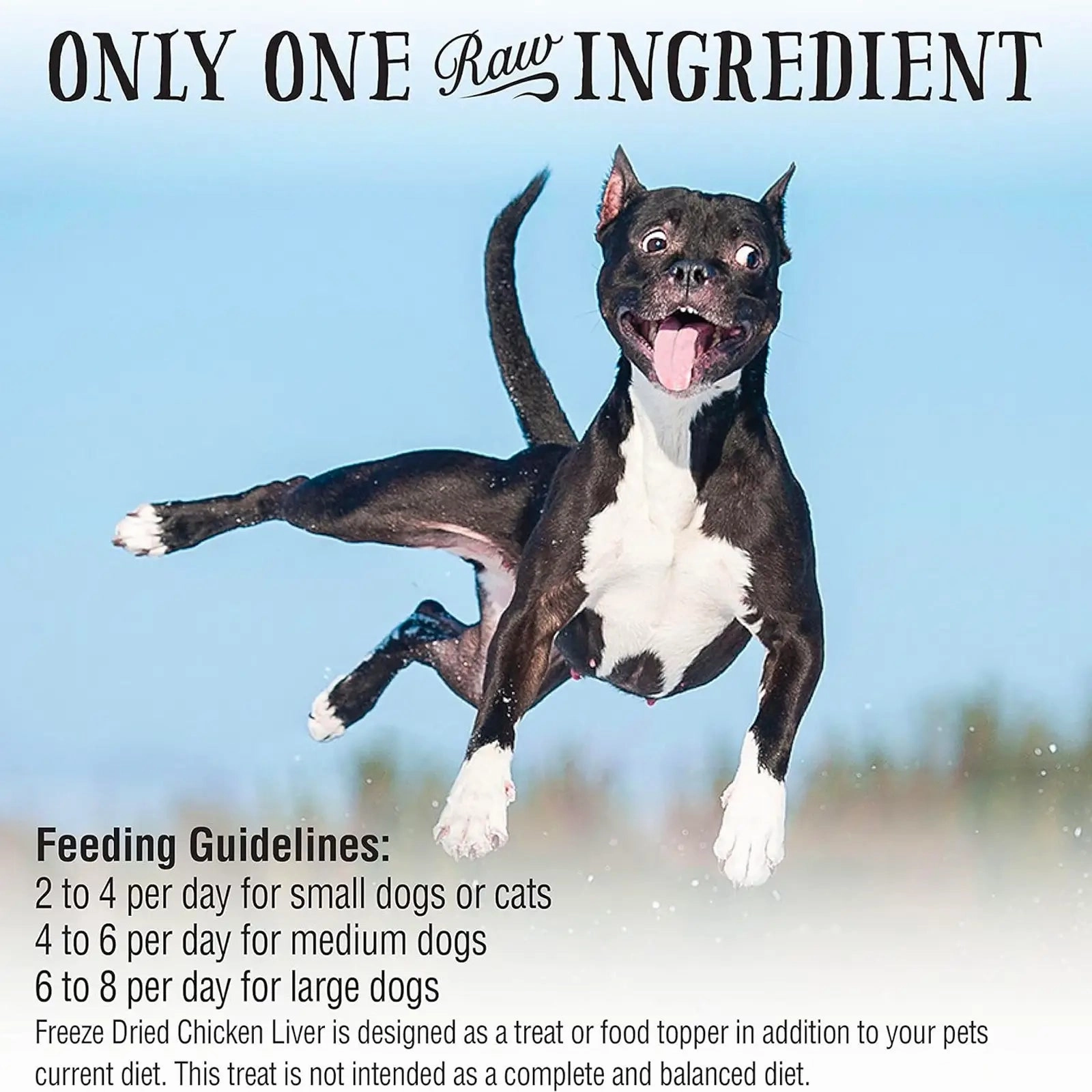 Northwest Naturals Raw Rewards Freeze Dried Treats for Dogs and Cats - Chicken Liver 85g