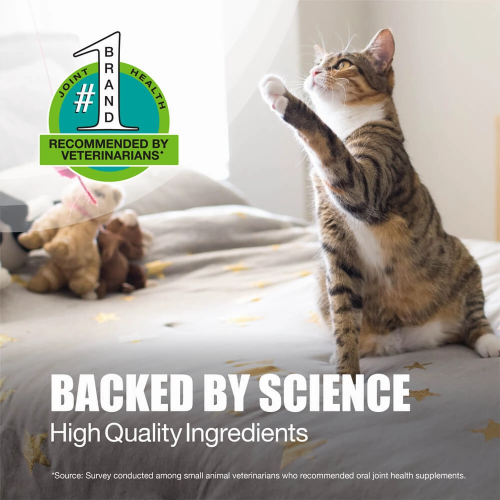 Nutramax Dasuquin Joint Health Supplement for Cats, Capsules