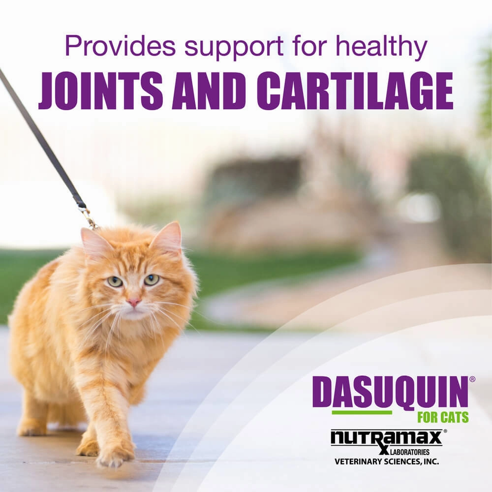 Nutramax Dasuquin Joint Health Supplement for Cats, Capsules