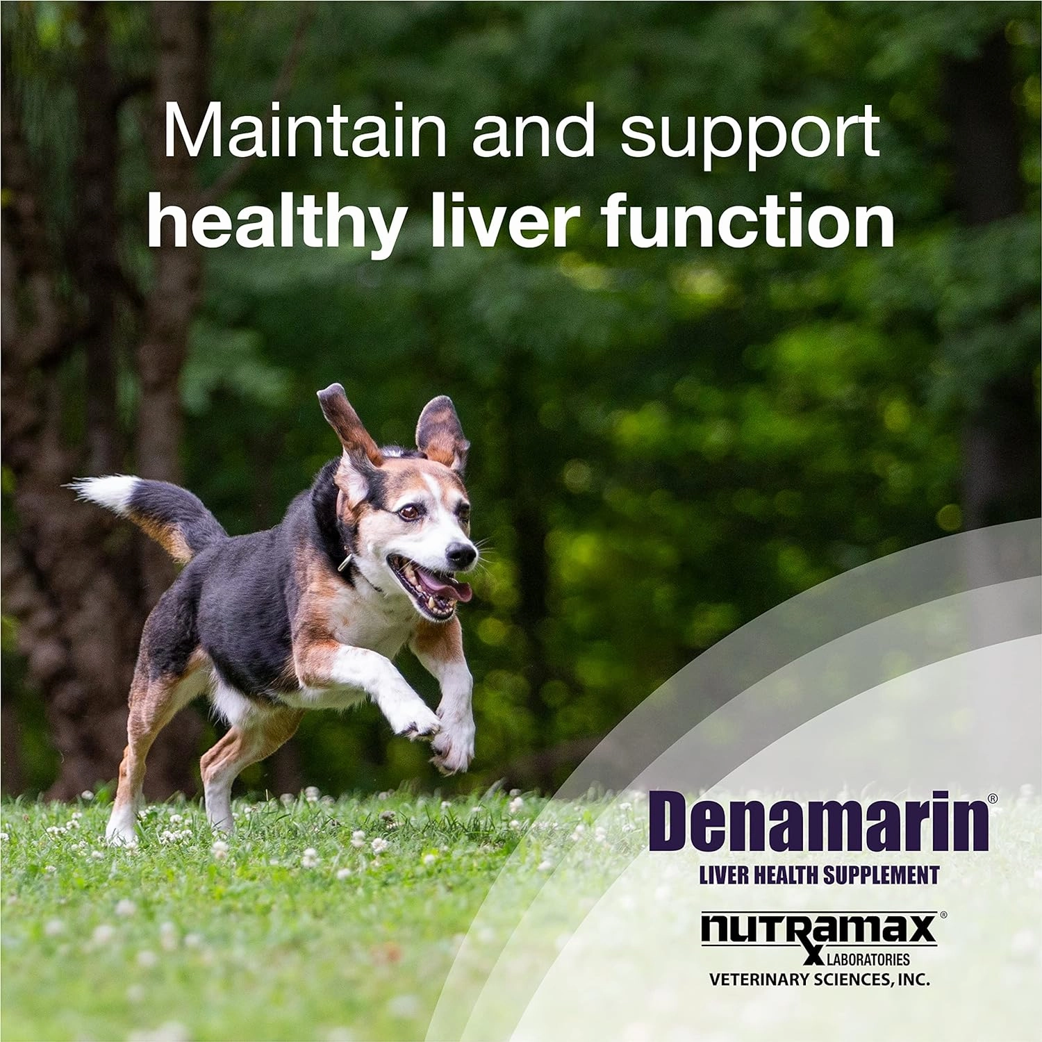 Nutramax Denamarin Liver Health, Stabilized Tablets