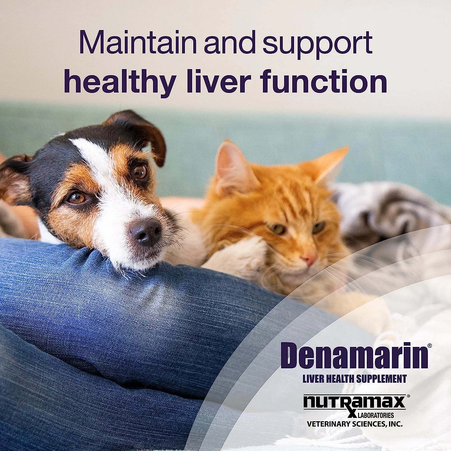 Nutramax Denamarin Liver Health, Stabilized Tablets