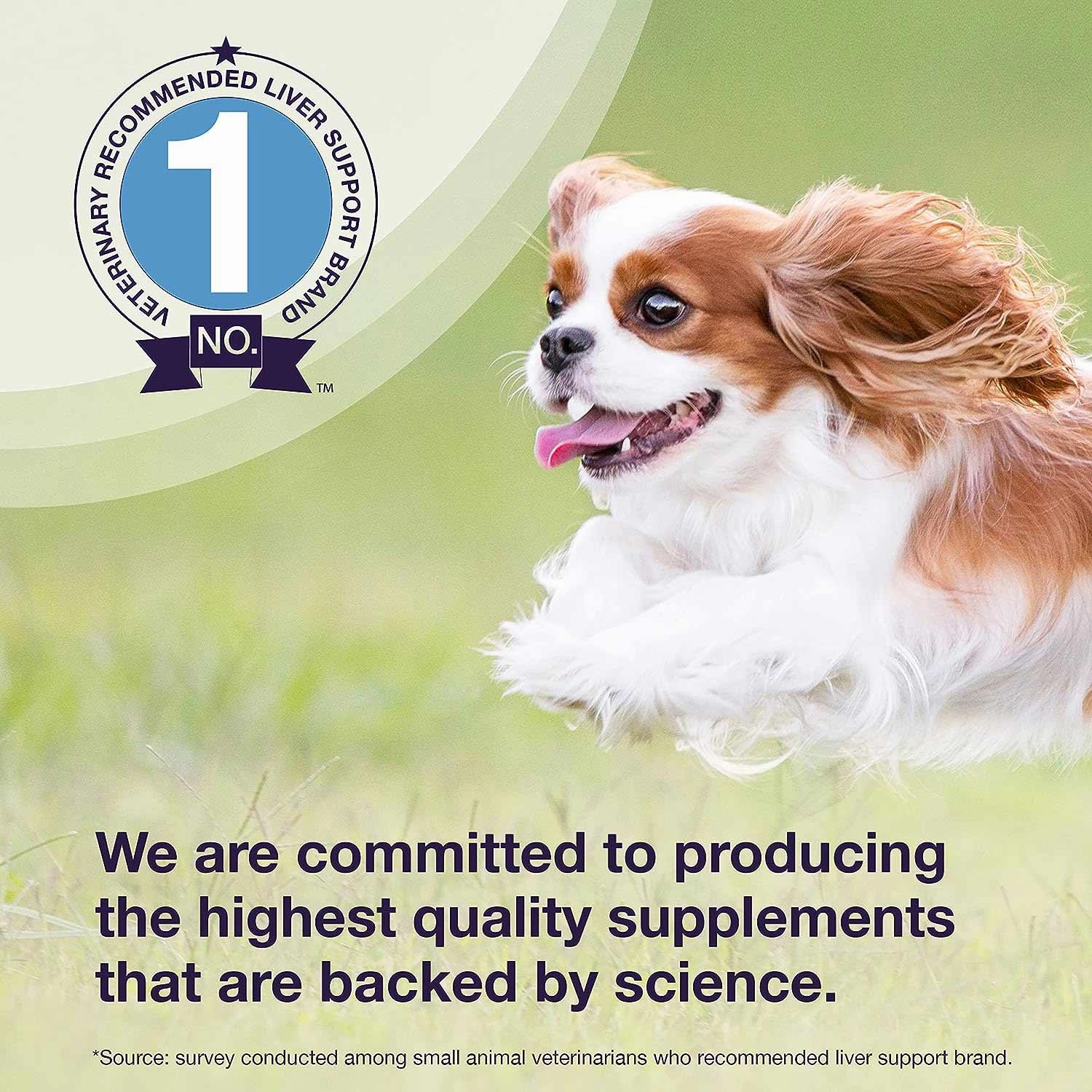 Nutramax Denamarin Liver Health Tablets for Dogs and Cats