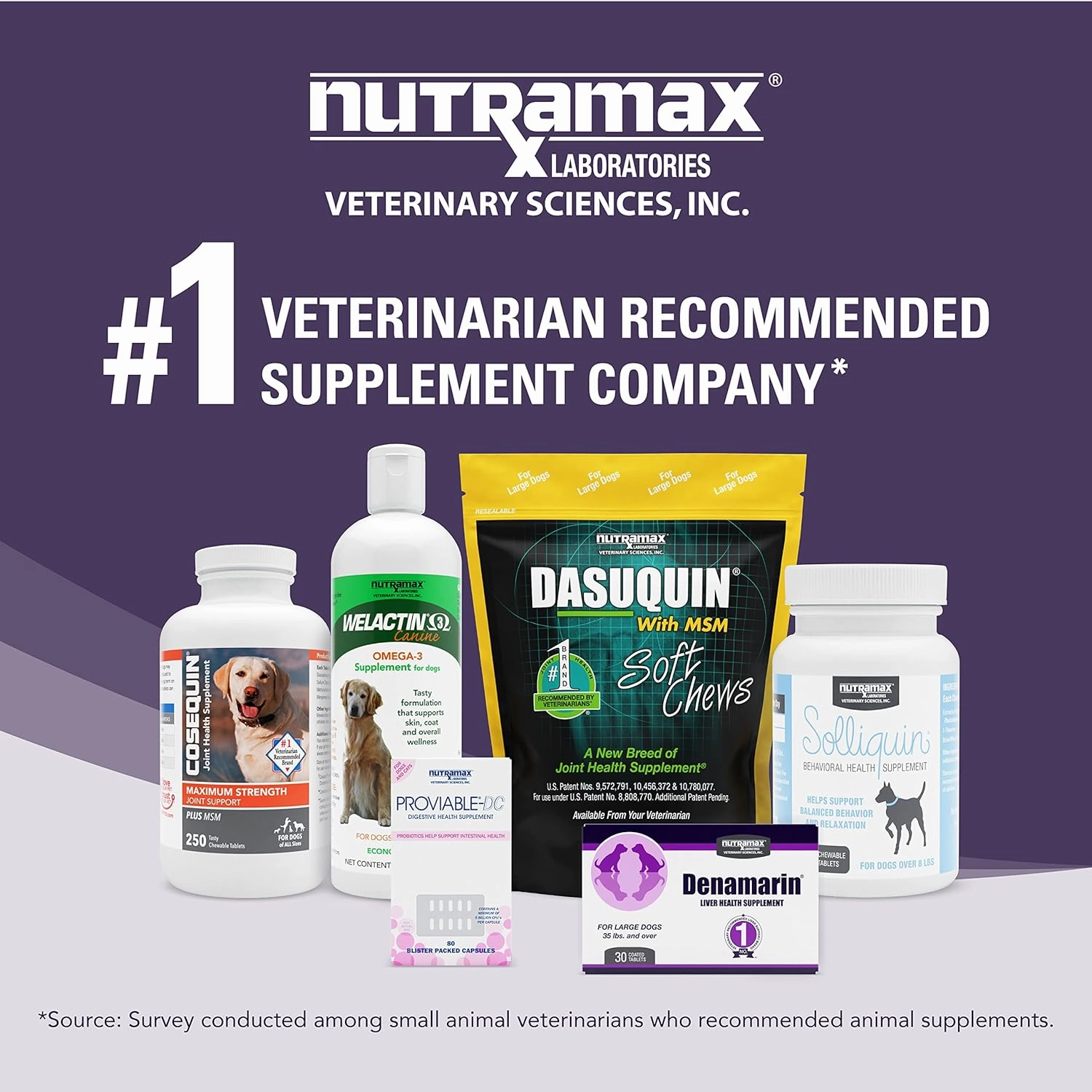Nutramax Denamarin Liver Health Tablets for Dogs and Cats