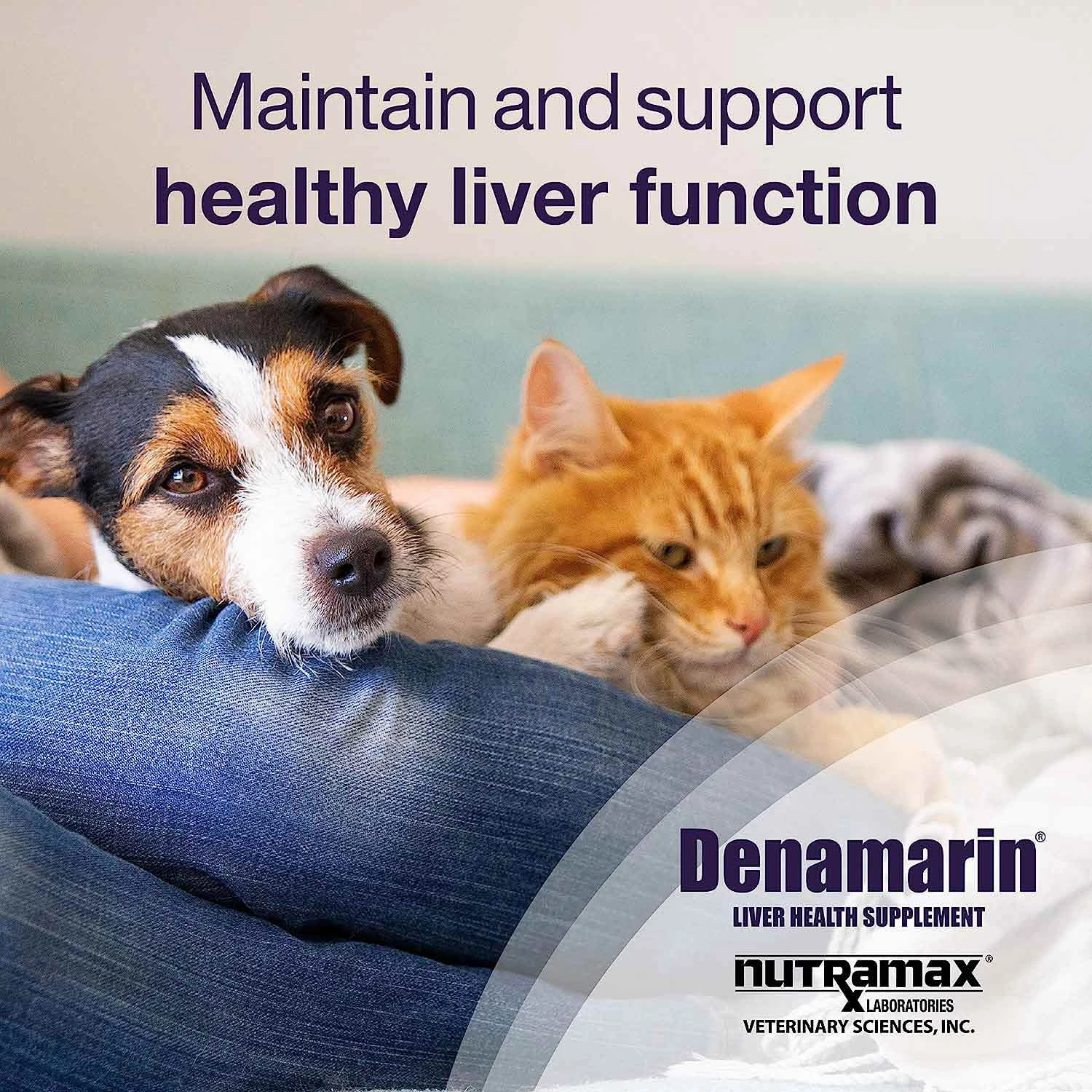 Nutramax Denamarin Liver Health Tablets for Dogs and Cats