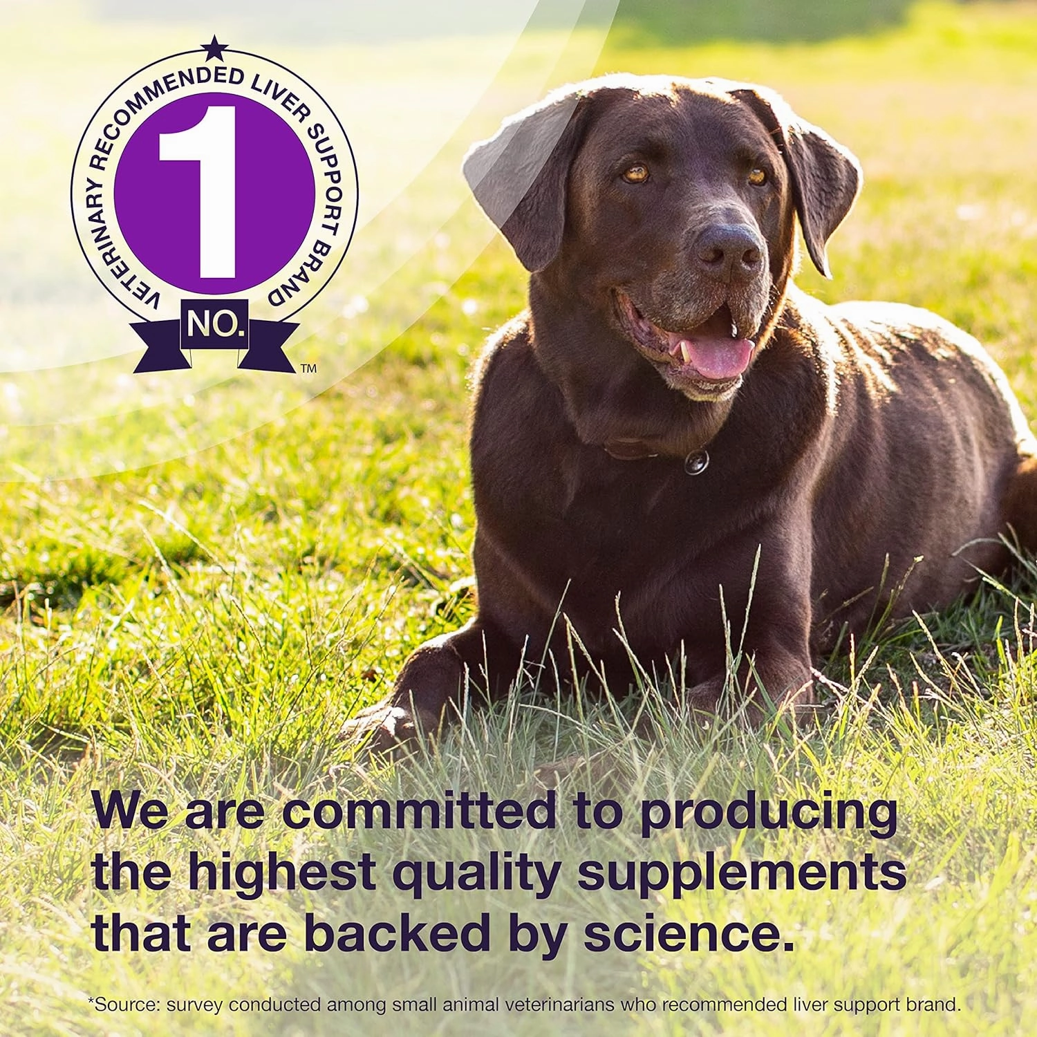 Nutramax Denamarin Liver Health Tablets for Dogs and Cats