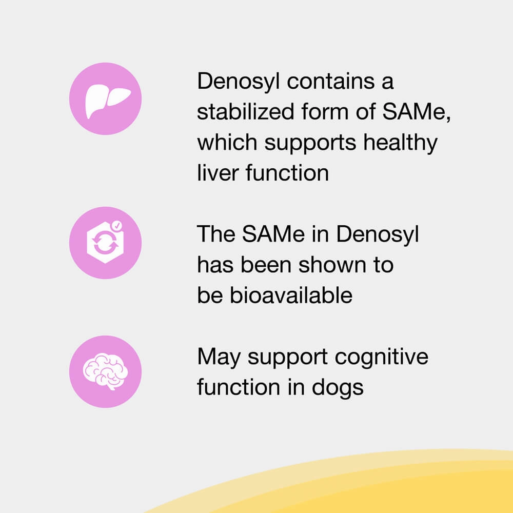 Nutramax Denosyl Liver and Brain Health Supplement