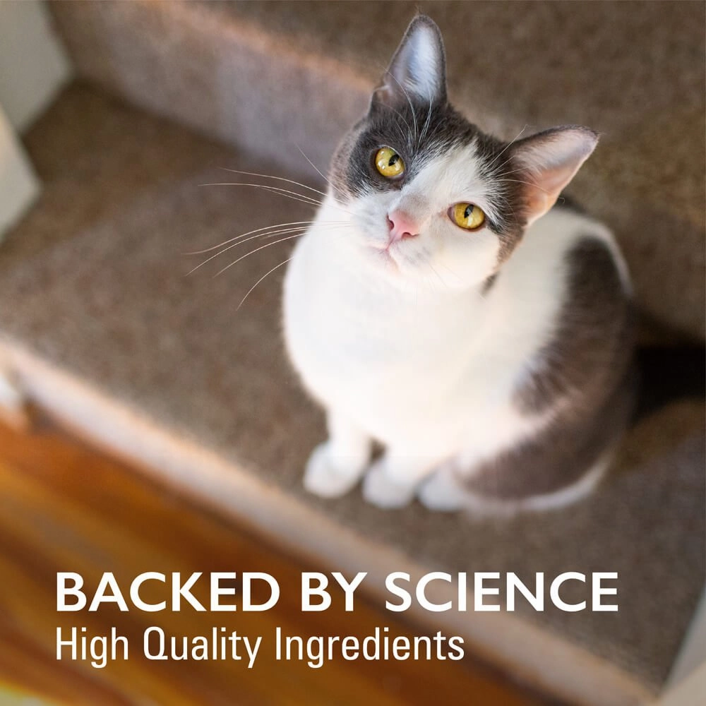 Nutramax Imuquin Immune Health for Cats, 30 Packets