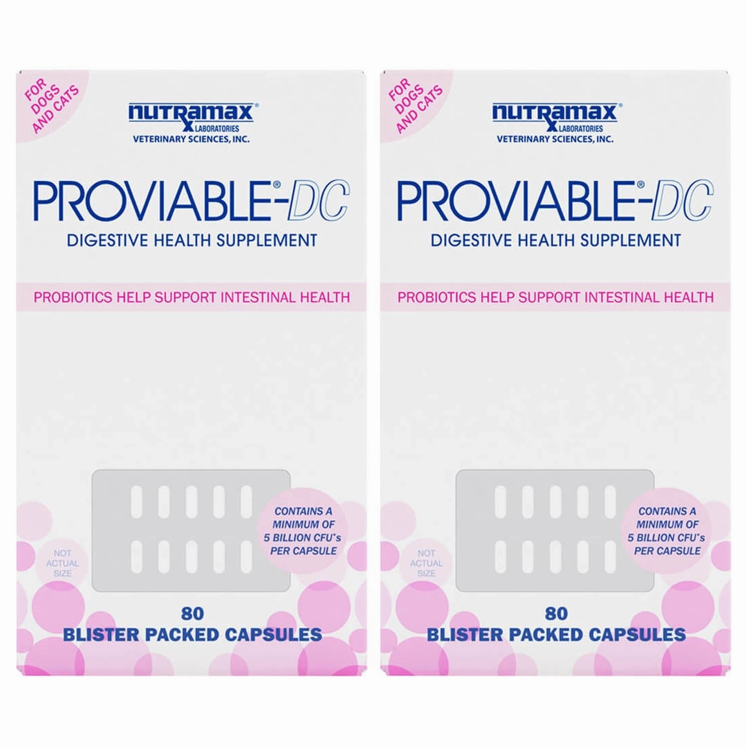 Nutramax Proviable-DC for Dogs & Cats