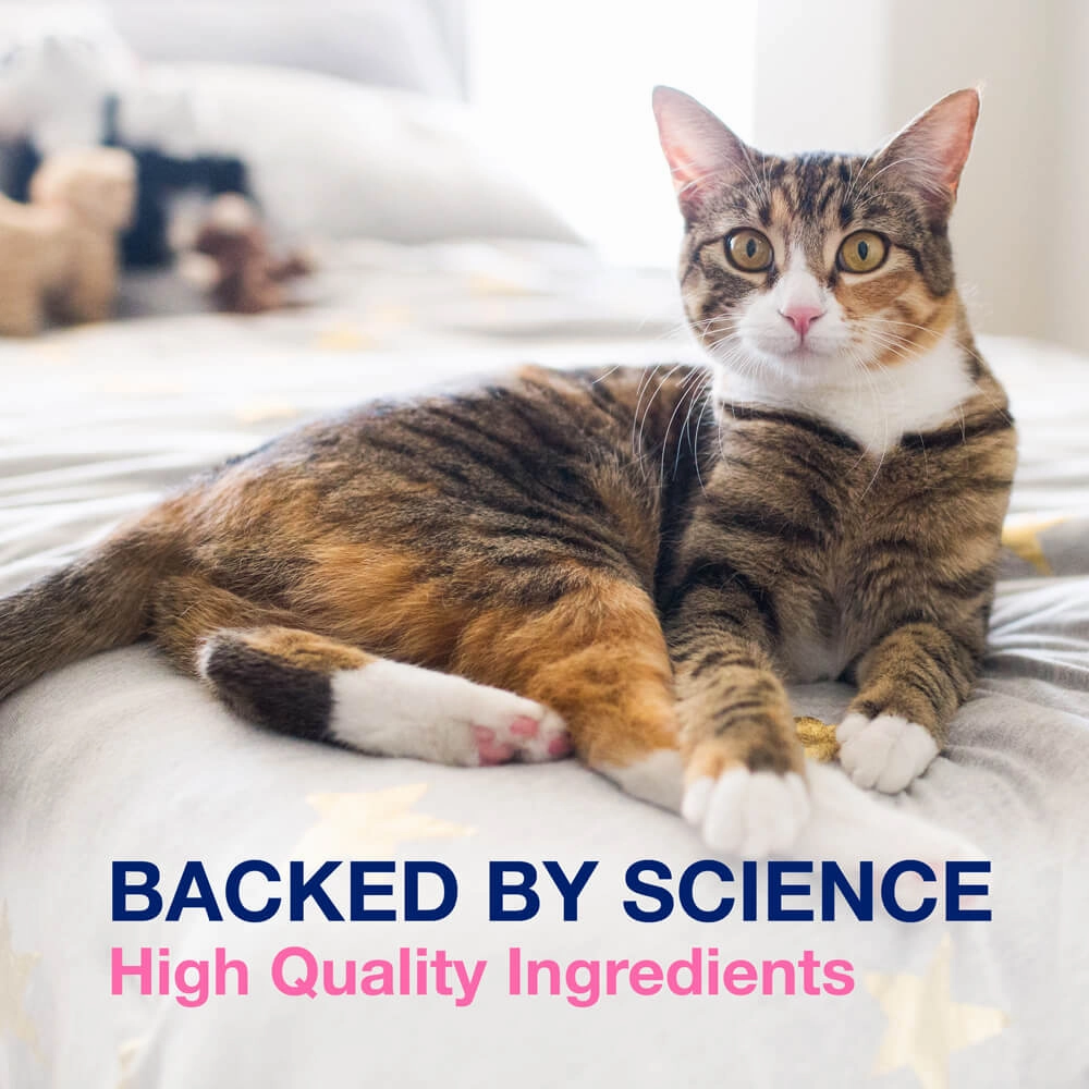 Nutramax Proviable-DC for Dogs & Cats