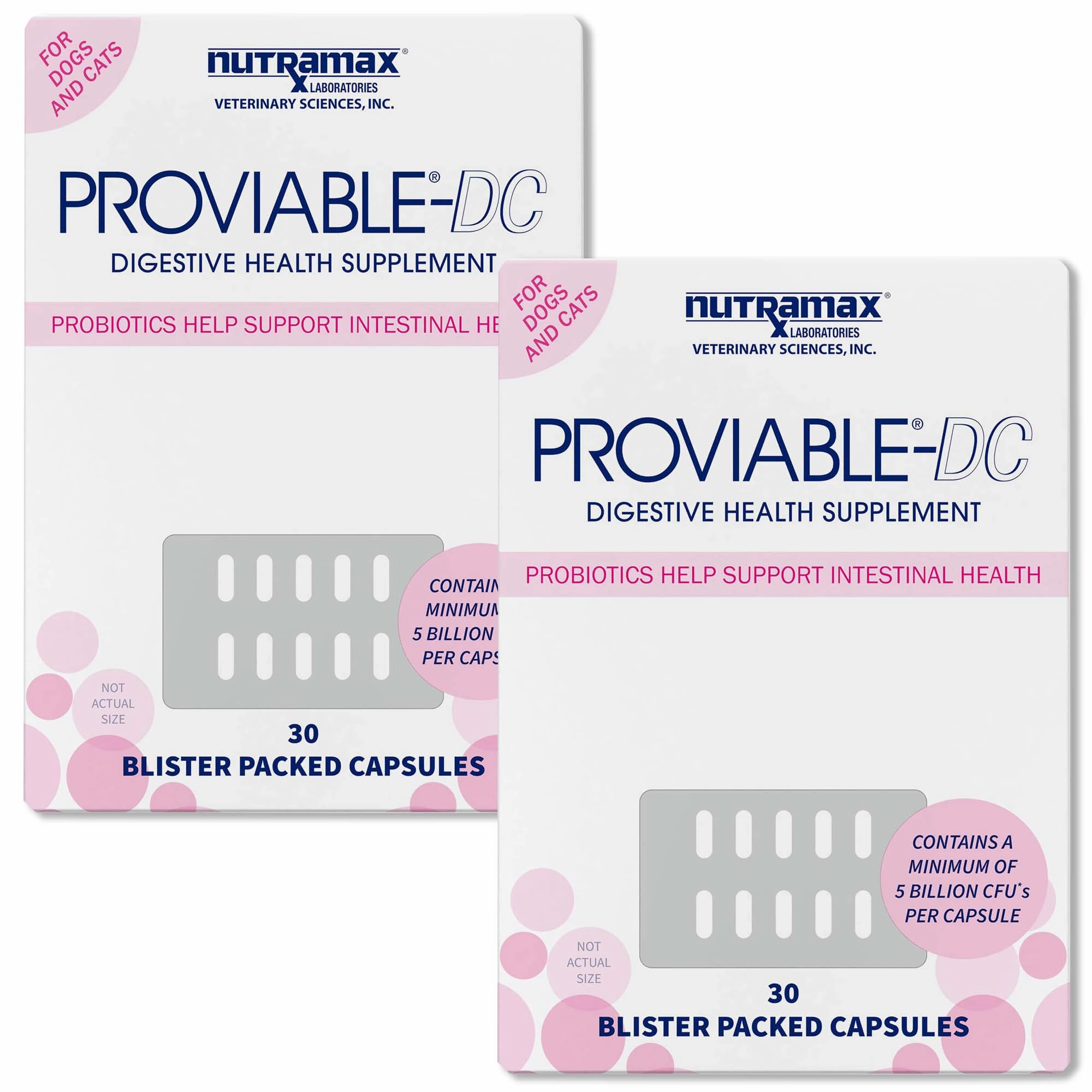 Nutramax Proviable-DC for Dogs & Cats