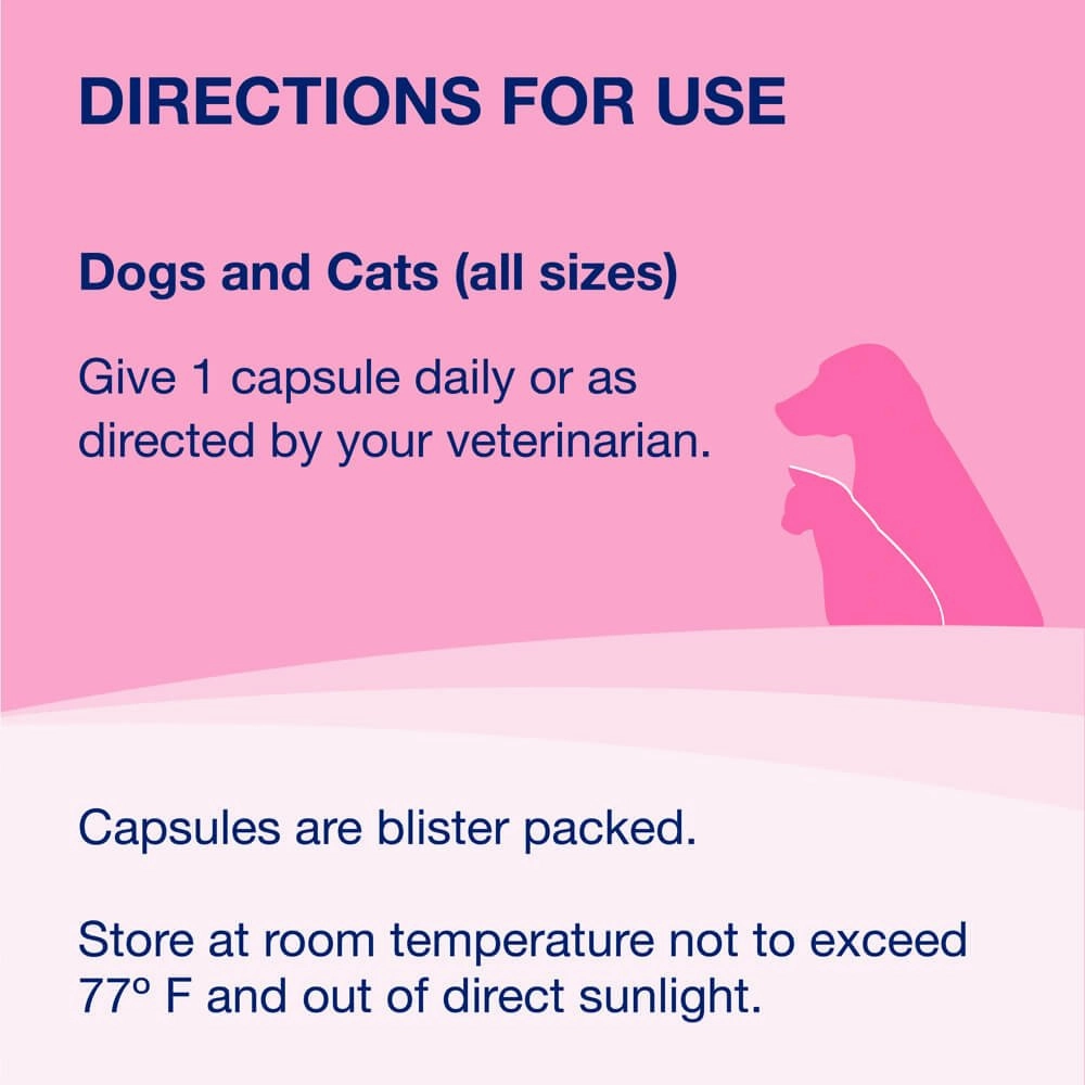 Nutramax Proviable-DC for Dogs & Cats