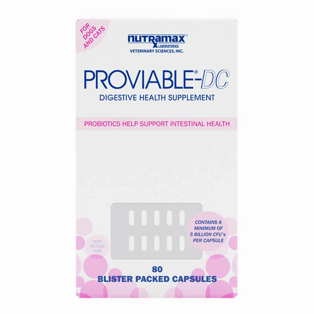 Nutramax Proviable-DC for Dogs & Cats
