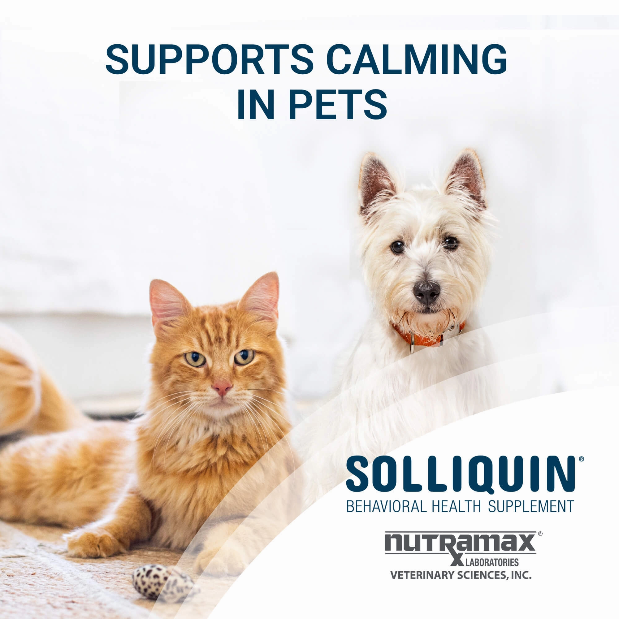 Nutramax Solliquin Soft Chews, 75 ct
