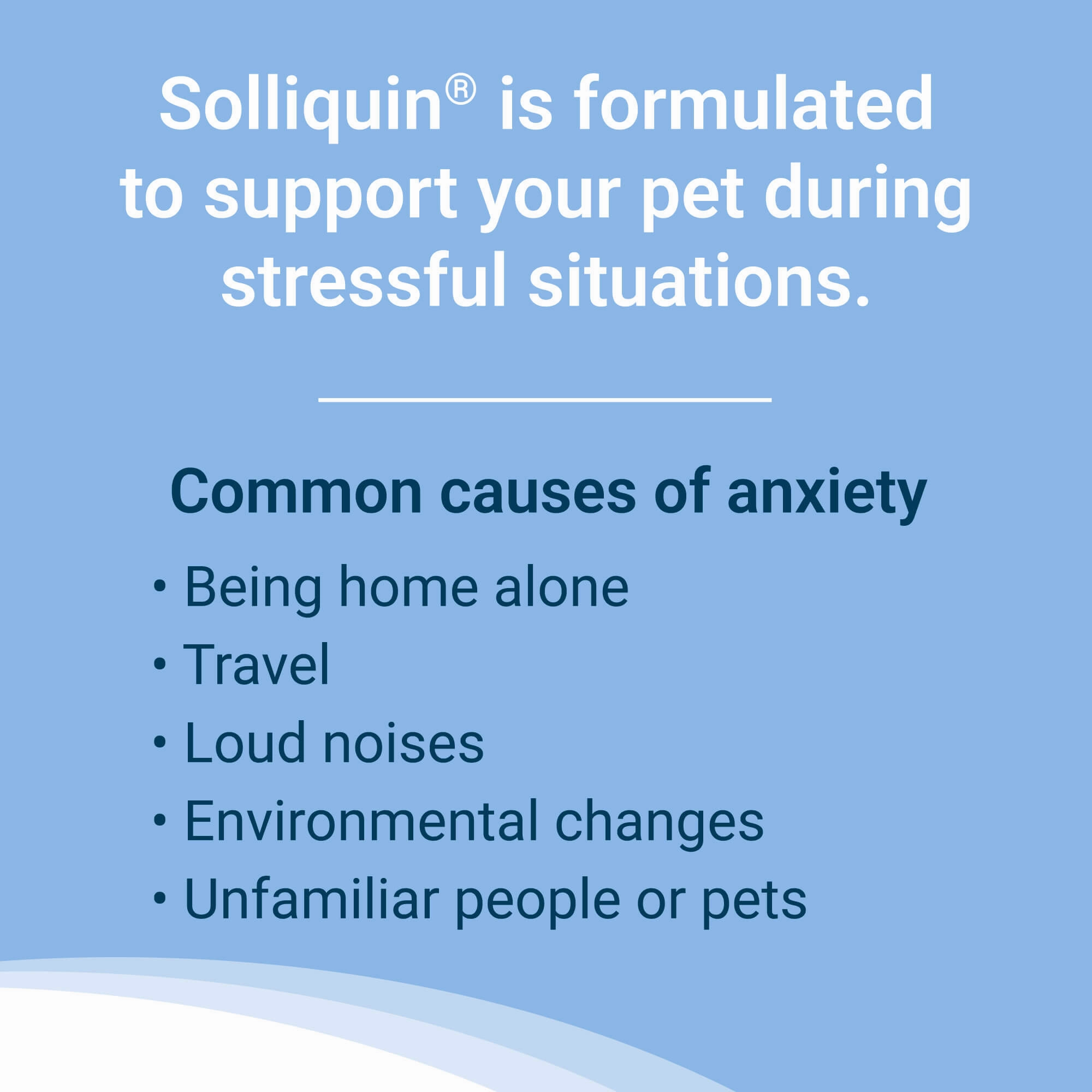 Nutramax Solliquin Soft Chews, 75 ct