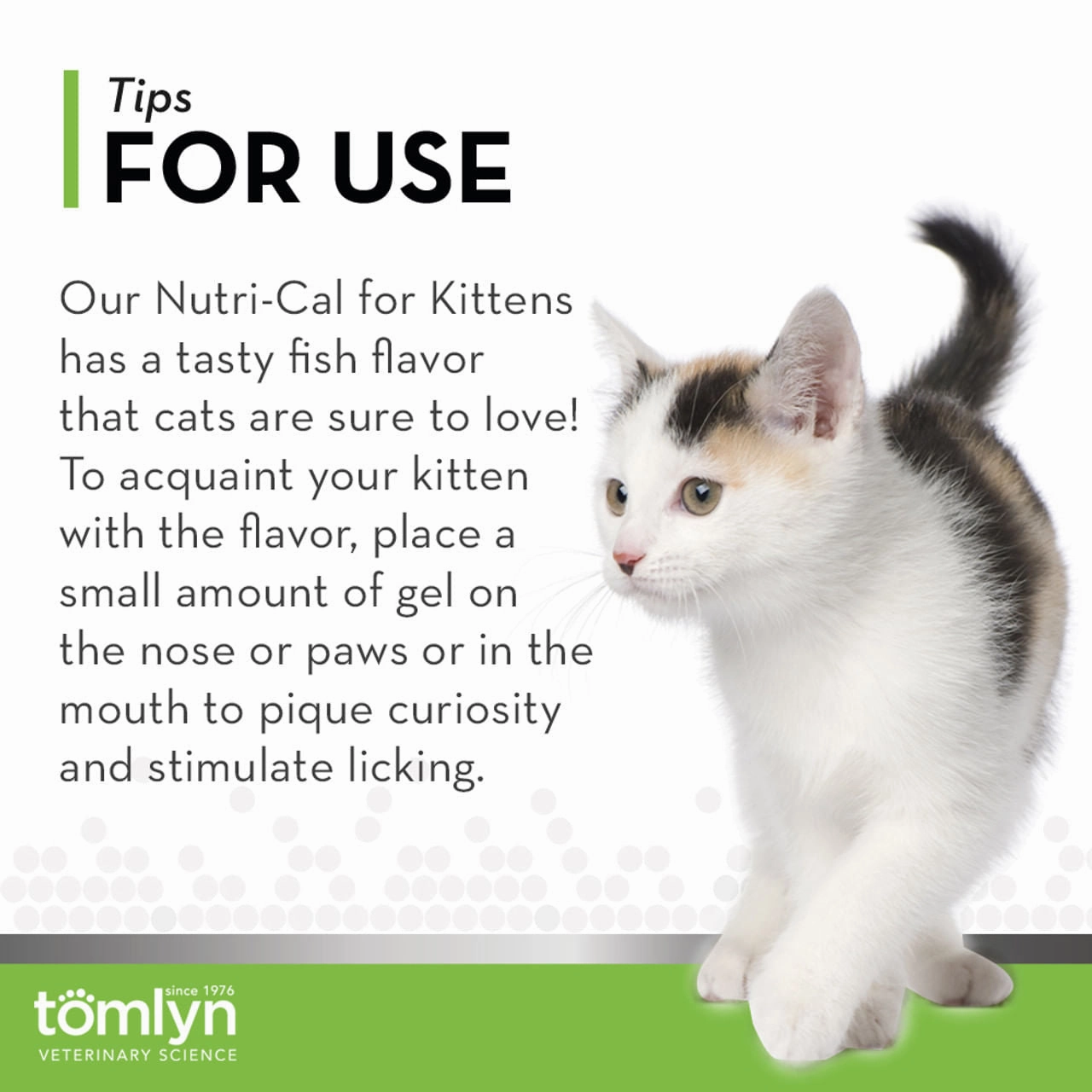 Nutri-Cal Kitten with Taurine
