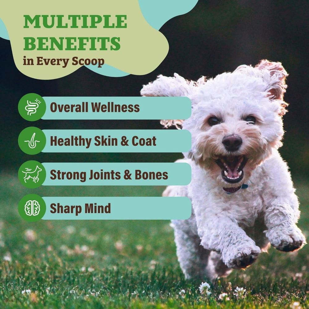 Nutrient-Dense Boost - Super Greens Dog Meal Topper
