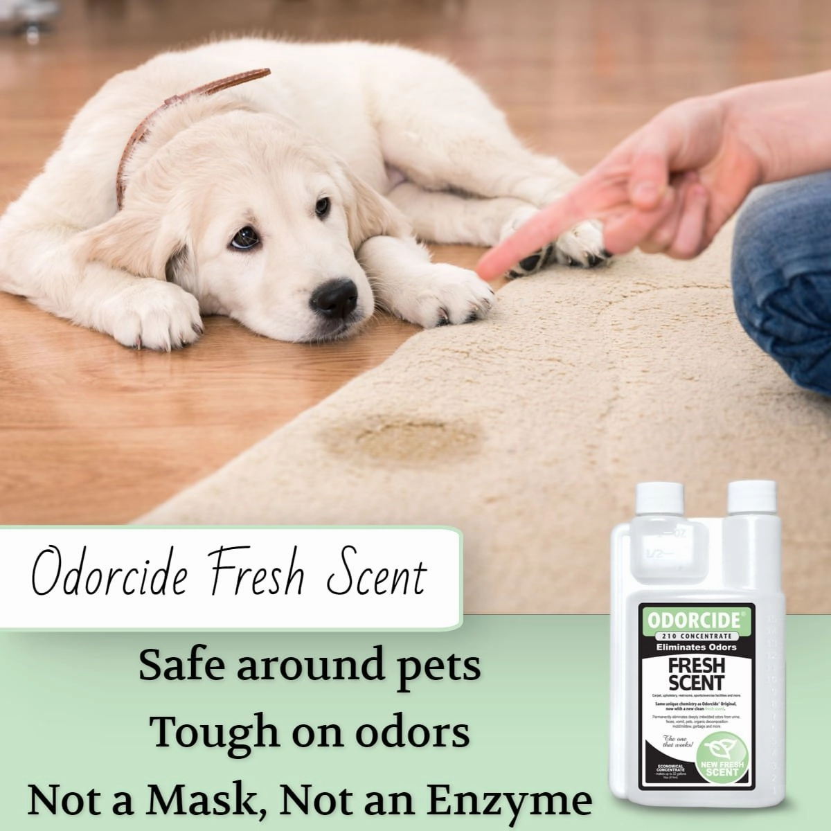 Odorcide Fresh Scent, Concentrate, 16 oz