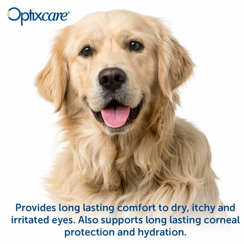 Optixcare Eye Lube Plus, 20gm