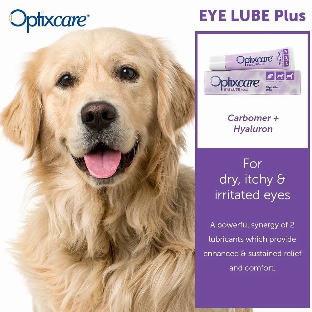 Optixcare Eye Lube Plus, 20gm