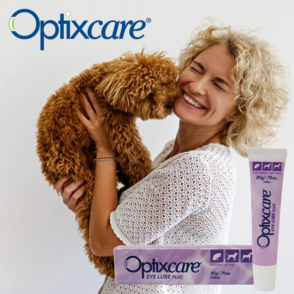Optixcare Eye Lube Plus, 20gm