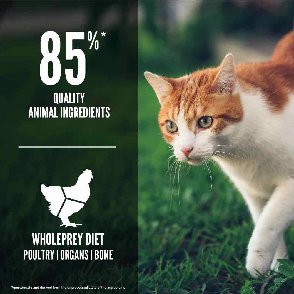 ORIJEN Fit & Trim Adult Grain-Free Dry Cat Food