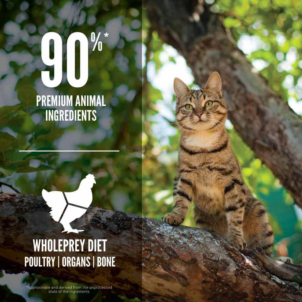 ORIJEN Guardian 8 Adult Grain-Free Dry Cat Food