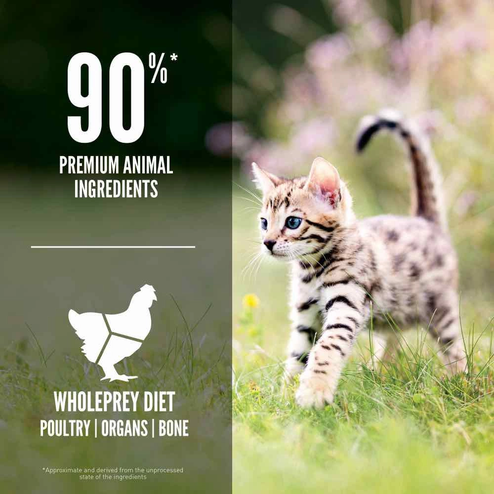 ORIJEN Kitten Grain-Free Dry Cat Food