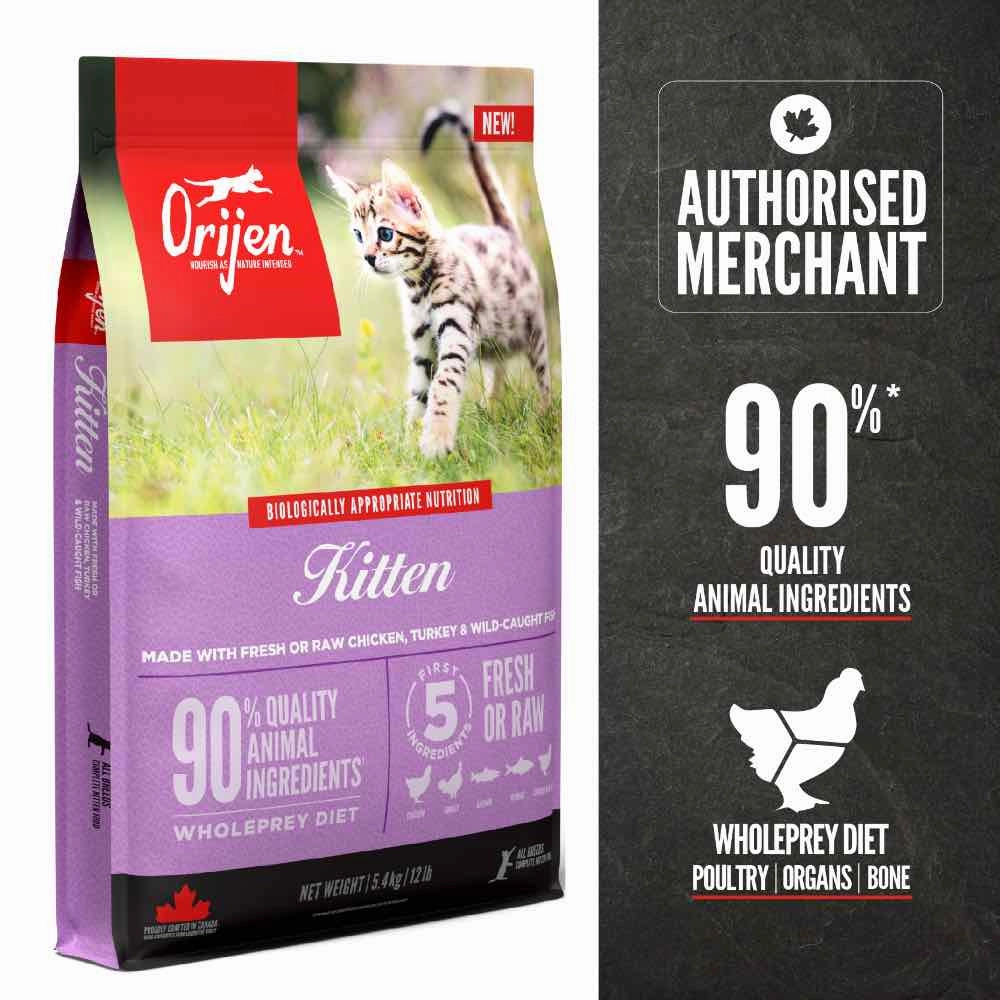 ORIJEN Kitten Grain-Free Dry Cat Food