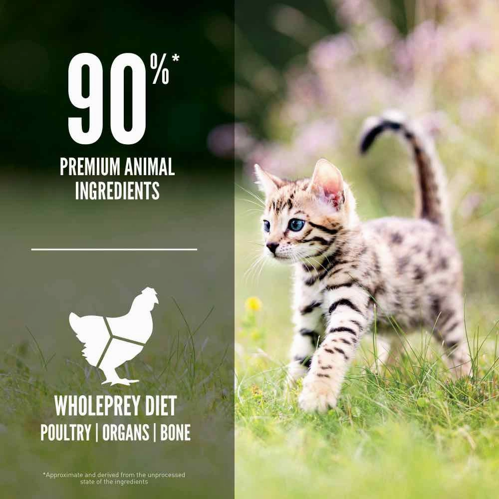 ORIJEN Kitten Grain-Free Dry Cat Food