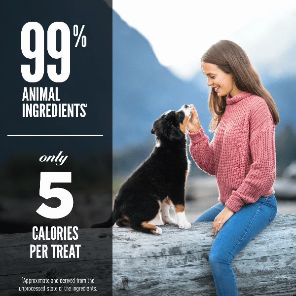 Orijen Original Freeze-Dried Dog Treats