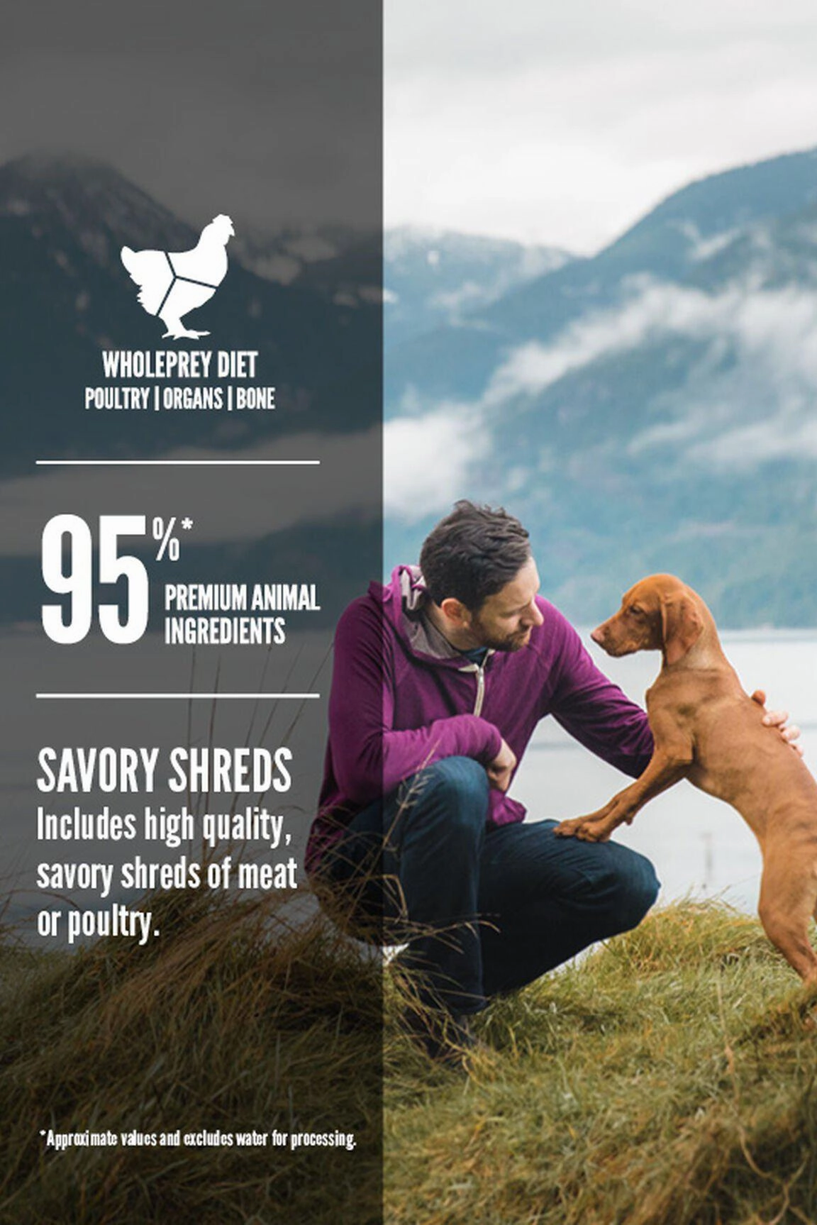 Orijen Original Stew Wet Dog Food
