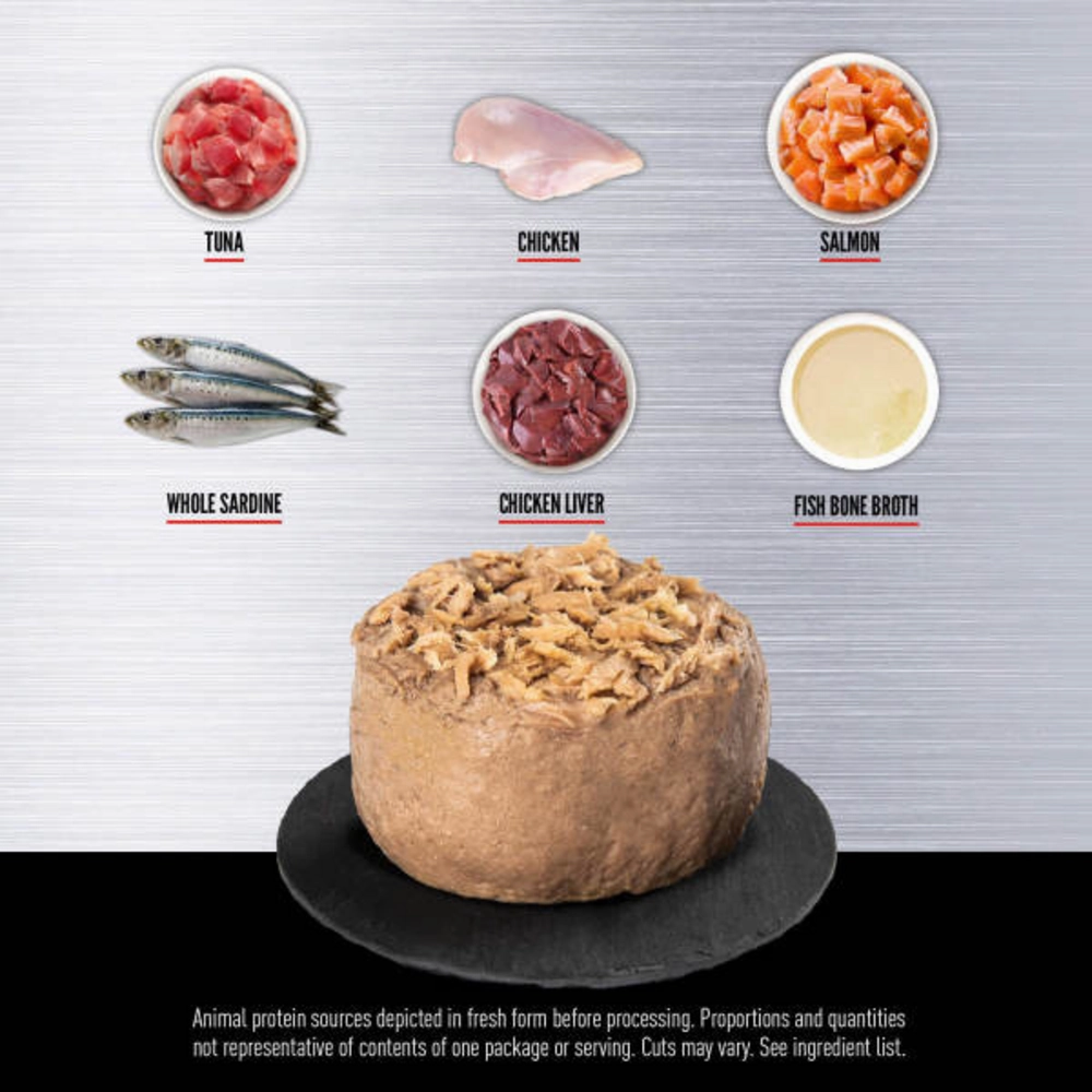 ORIJEN Tuna, Salmon   Beef Entre in Bone Broth Wet Cat Food