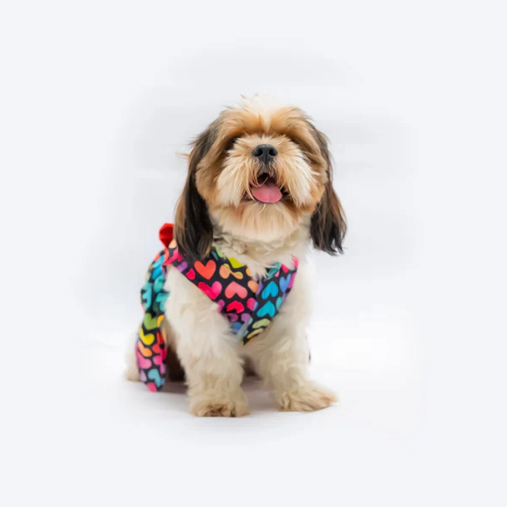 Pawgypet Multi Heart Dress for Dogs (Multi Colour)