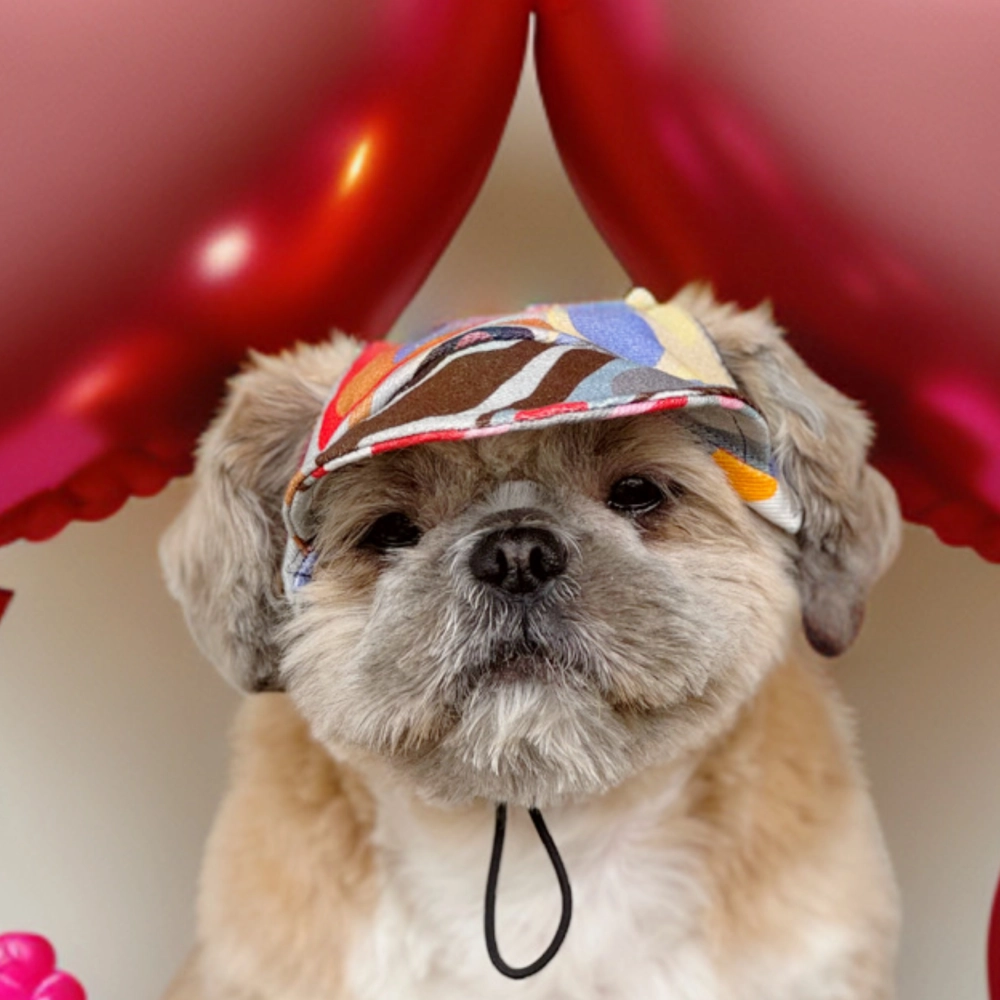 Pawgypets Cap for Dogs (Multi Color)