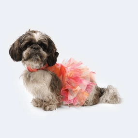 Pawgypets Frill Dress for Dogs and Cats (Orange)