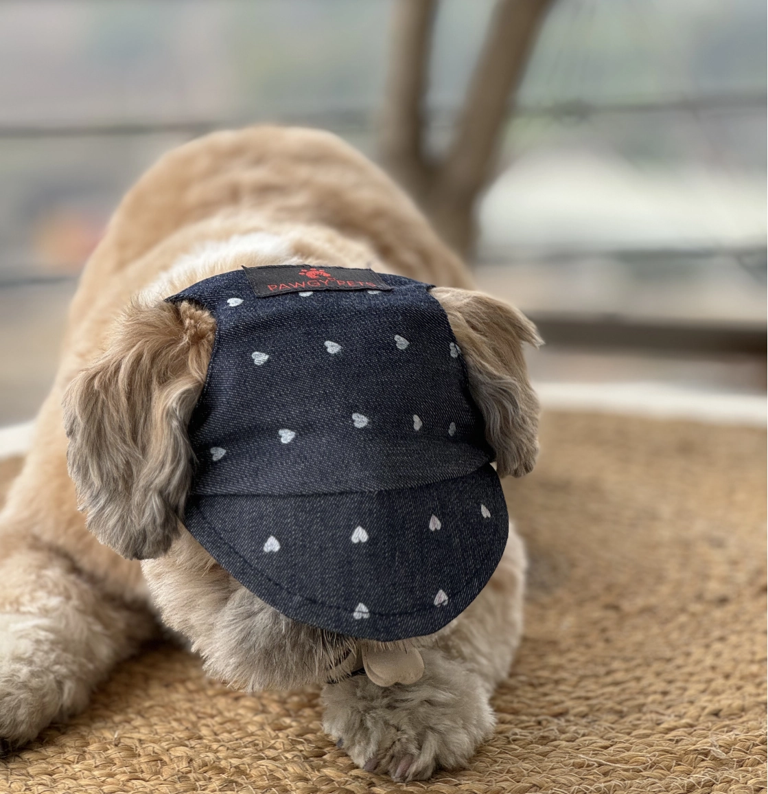 Pawgypets Hearty Cap for Dogs (Denim)