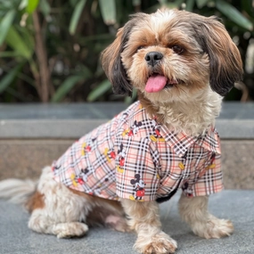 Pawgypets Mickey Check Shirt for Dogs (Beige)
