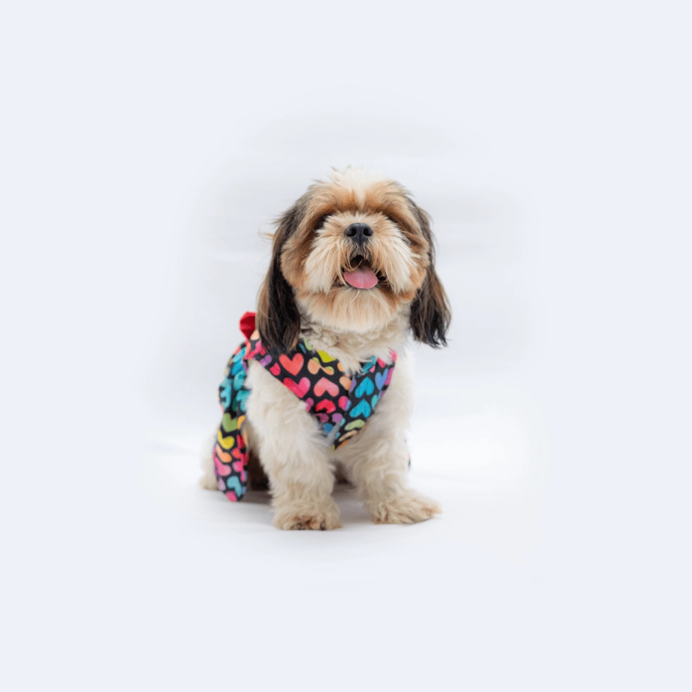 Pawgypets Multi Heart Casual Dress for Dogs and Cats