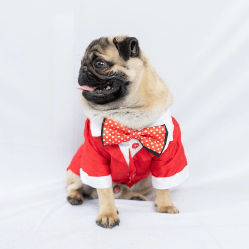 Pawgypets Tuxedo for Dogs and Cats (Red)