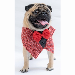 Pawgypets Waistcoat Bandana for Dogs and Cats (Red)