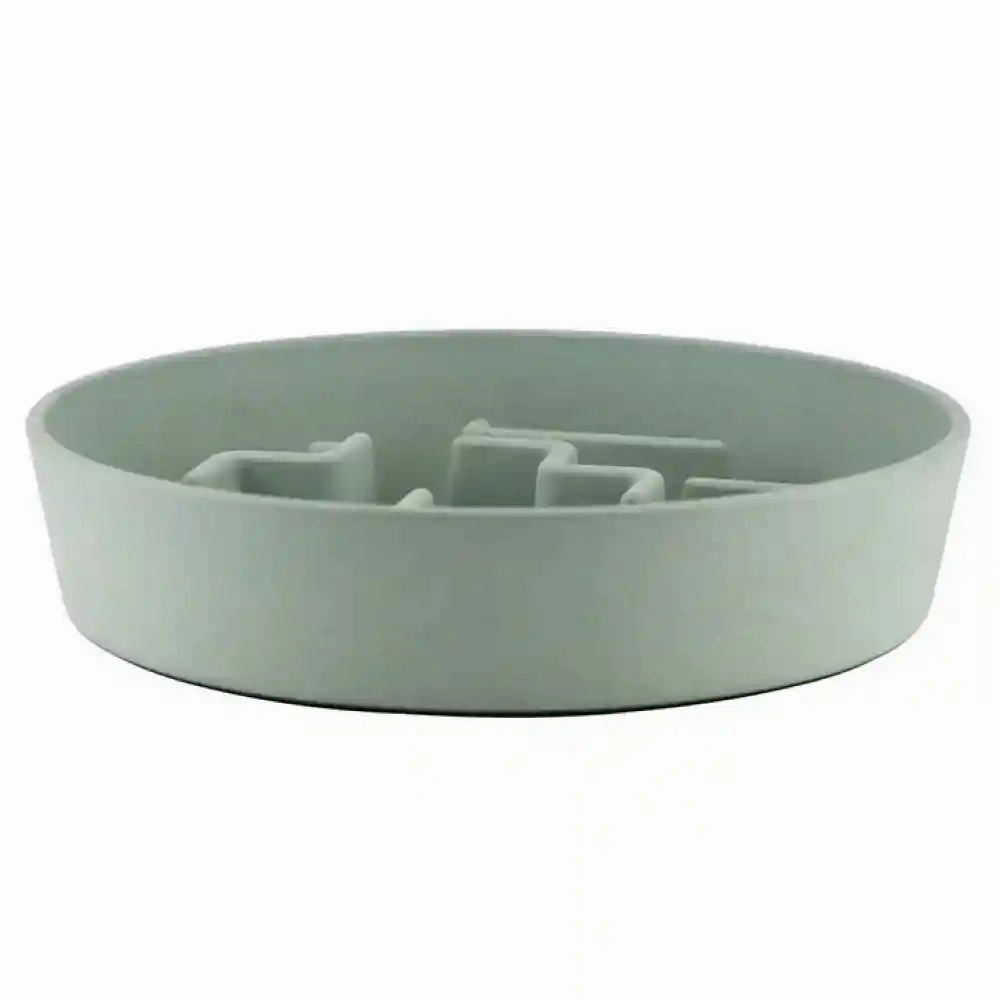 Pawpourri Sustainable Slow Feeder for Dogs (Mint Green)