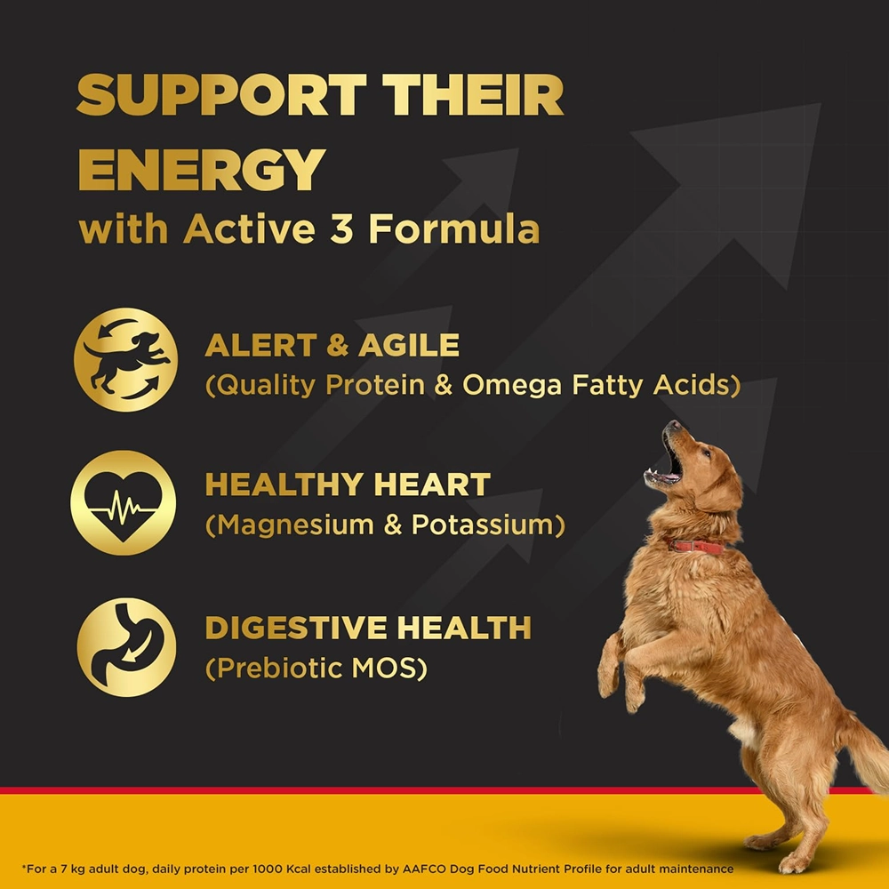 Pedigree PRO Active Adult Large Breed Dry Food, Pedigree Chicken Liver Gravy Adult Dog Wet Food Combo