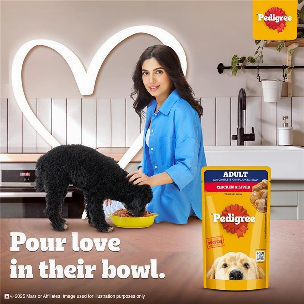 Pedigree PRO Active Adult Large Breed Dry Food, Pedigree Chicken Liver Gravy Adult Dog Wet Food Combo