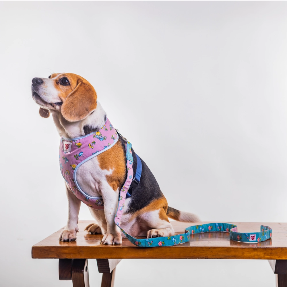 Pet And Parents Dainty Floral Reversible Harness for Dogs