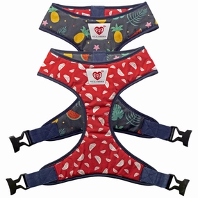 Harness