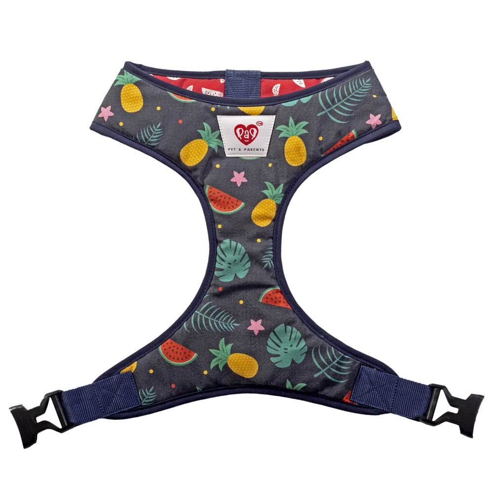 Pet And Parents Floral Watermelon Reversible Harness for Dogs
