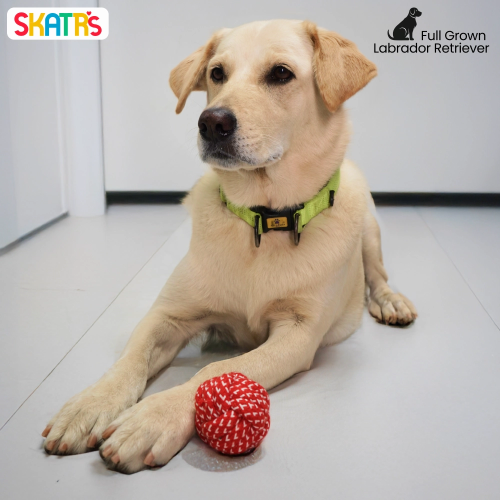 Pet Vogue Bouncy Rubber Ball & Skatrs Rope Ball Chew Toy Dog Combo